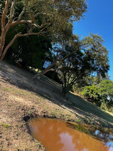 a puddle of water on a hill with trees at Pousada Sunrise Container in Araçoiaba da Serra