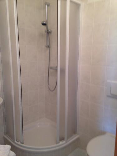 a shower in a bathroom with a toilet at Landgasthaus am Dolgensee in Reichenwalde