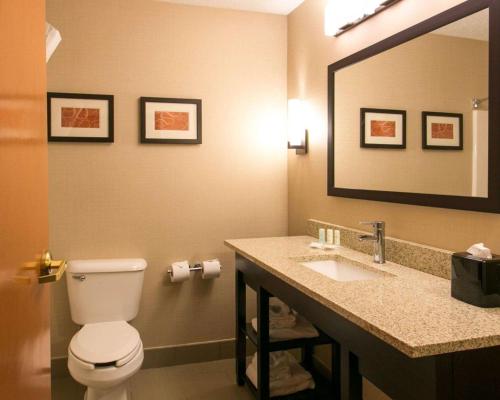 a bathroom with a toilet and a sink and a mirror at Comfort Suites Benton Harbor - St Joseph in Benton Harbor