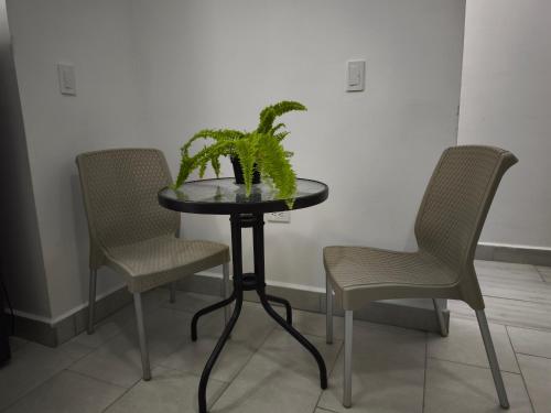 a table with two chairs and a potted plant on it at Apartamento nuevo en primer piso in Jardin