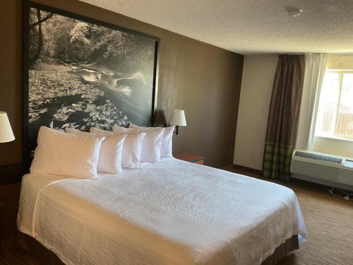 a hotel room with a bed with a painting on the wall at Super 8 by Wyndham Colorado Springs Airport in Colorado Springs