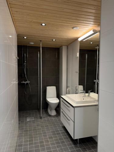 a bathroom with a toilet and a sink and a shower at Modern Flat in City in Helsinki