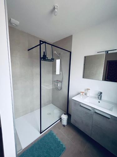 une salle de bain avec douche et lavabo dans l'établissement appartement cosy, à Les Fins