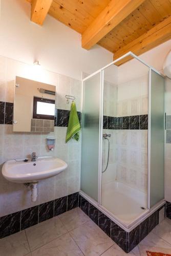 a bathroom with a glass shower and a sink at Lesní Penzion Vranov in Vranov nad Dyjí