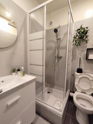 une salle de bain avec une douche, des toilettes et un lavabo dans l'établissement Le refuge chic, à Luchon