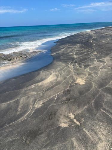 Stay, laugh, repeat!