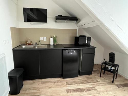 Il comprend une cuisine avec un plan de travail, un évier et une télévision. dans l'établissement Studio de charme au calme centre ville proximité Cathédrale, à Orléans