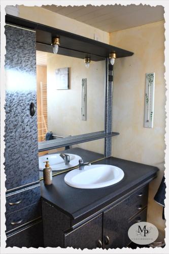 une salle de bain avec un lavabo et un grand miroir dans l'établissement Cozy maison proche des Châteaux de la Loire et du Zoo Beauval, à Romorantin-Lanthenay