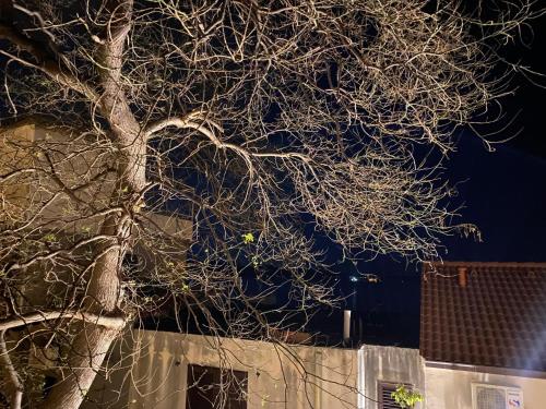 Galeriebild der Unterkunft Mili Minihouse in Kaštela