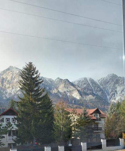 a view of a mountain range with houses and trees at Diamond Resort Busteni in Buşteni