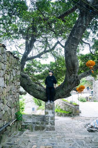a man is sitting on a tree branch at 平潭游记猫头墘古村落 in Pingtan