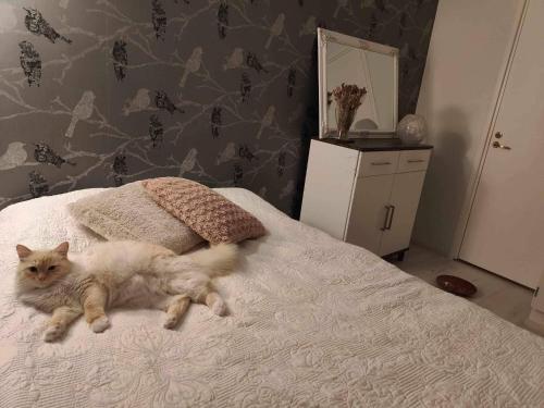 un chat blanc allongé sur un lit dans l'établissement Cozy Forest Retreat in Kuopio - Perfect for Families Work Trips, à Kuopio