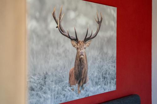 a painting of a deer with antlers on a red wall at Boutiquehotel ZOMM in Seefeld in Seefeld in Tirol