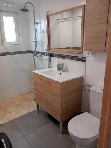 une salle de bain avec un lavabo, des toilettes et un miroir dans l'établissement Terrain avec Mazet climatisé proche des plages - V0847, à Vias