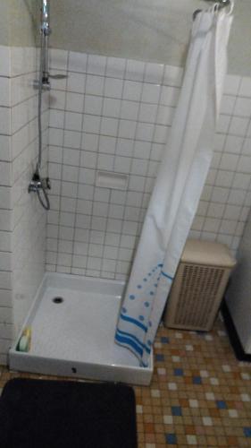 La salle de bains est pourvue d'une douche avec rideau de douche. dans l'établissement Chez Alain, à Fontenoy-le-Château