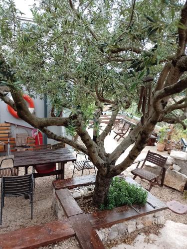 Κήπος έξω από το Roberto Apartment