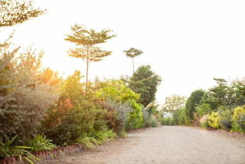 a dirt road with trees and plants on it at Elk Seizon Retreat in Kundakal