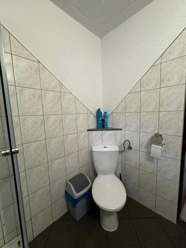 a bathroom with a toilet and a shower at ahoj PRZYLESIE in Pobierowo