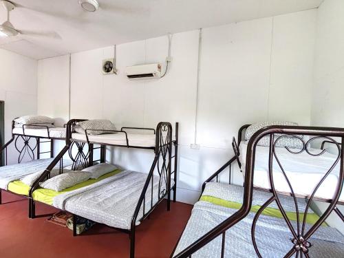 a group of bunk beds in a room at Eleven Inn Langkawi in Kuah