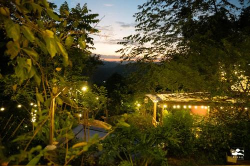 a garden lit up at night with lights at Xieng Retreat in Hanoi