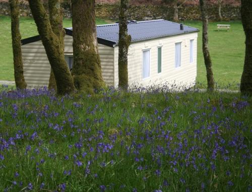 a white building in a field of purple flowers at Dinas in Llanbedr