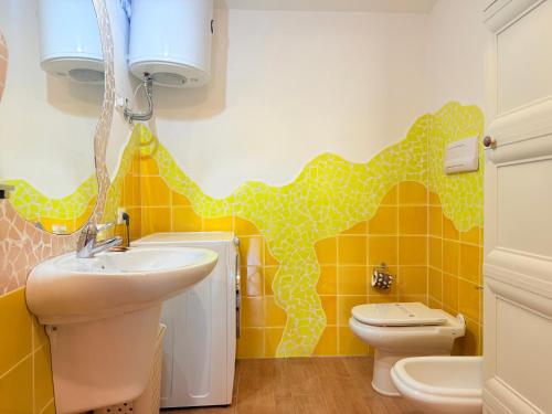 オロゼーイにあるGiove Rubea - Appartamenti in pieno centro storico a Oroseiの洗面台とトイレ付きのバスルーム