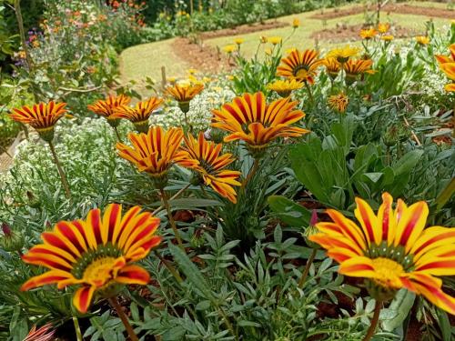 Imagen de la galería de Nuwan home, en Nuwara Eliya