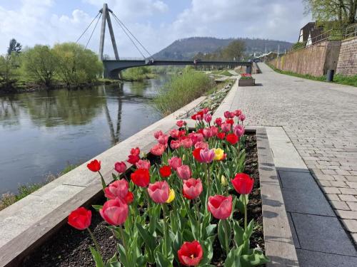 a row of red and yellow flowers next to a river at FeWo kleine Auszeit Höxter in Höxter