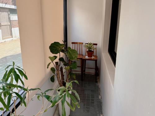 a hallway with potted plants and a chair at Mangwon Hangang Park House 3 rooms or one room in Seoul