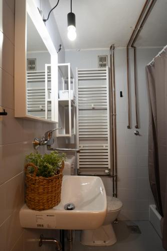 a bathroom with a sink and a toilet and a mirror at Forest Apartments POKLJUKA in Zgornje Gorje
