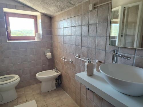 a bathroom with a sink and a toilet at B&B Il Rifugio della Felicità Civitella in Setri