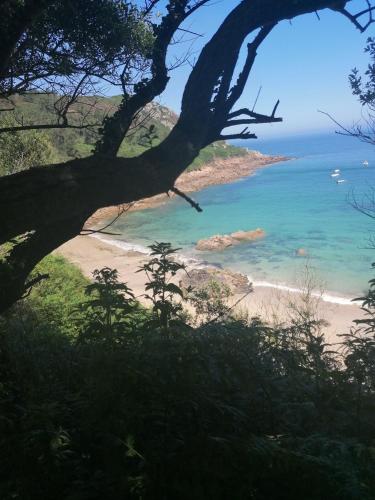a view of the beach from a tree at Maison Locquirecoise à 550m de la plage in Locquirec