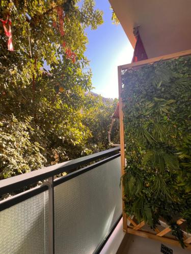 Zahrada ubytování Urban mirage