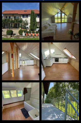 a collage of four pictures of a house at Loftwohnung in Naturnähe in Seeberg