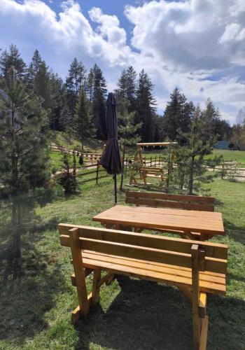 Gambar di galeri bagi Pine forest-White di Žabljak