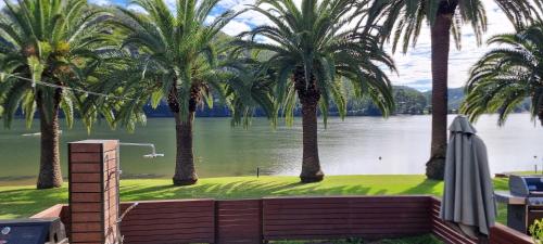 a view of a lake with palm trees at The Riverstay Retreat in Wisemans Ferry