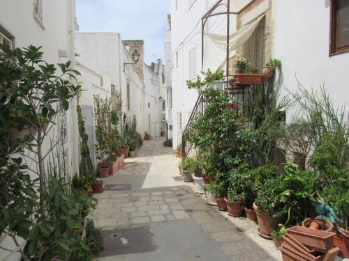 an alley with potted plants on the side of a building at Vicolo Fiorito B&B in Polignano a Mare