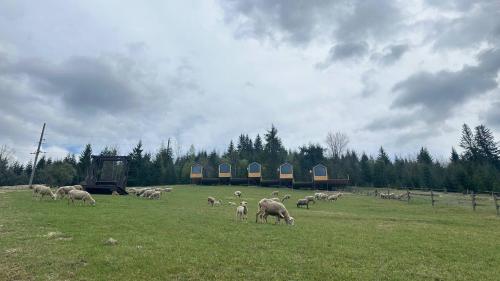 シャレーの敷地内または近くにいる動物