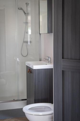 a bathroom with a toilet and a sink and a shower at Nieuw chalet Zeeland met omheinde tuin & airco nabij natuur en zwembad VP089 in Heinkensand