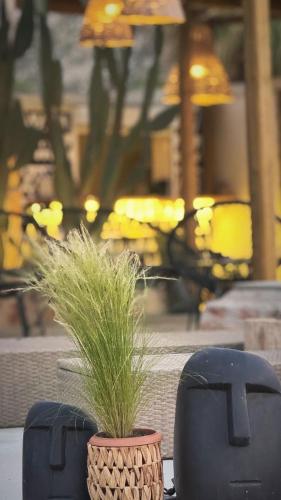 two black chairs and a plant in a basket at LA Casa Di Lusso N6 -Adults Only in Kolimbia