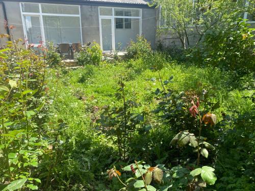 a garden with lots of grass and weeds in front of a house at House in Quba in Quba