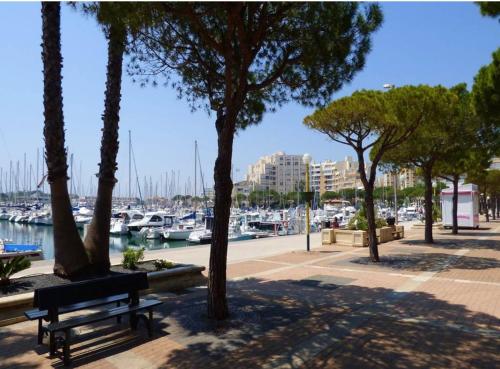 un parc avec des arbres et un banc à côté d'un port de plaisance dans l'établissement Appartement lumineux avec loggia, vue sur le port, CARNON PLAGE, à Carnon-Plage