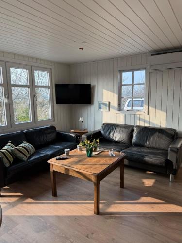 a living room with a couch and a coffee table at One-of-a-kind waterfront wooden house in Hejls