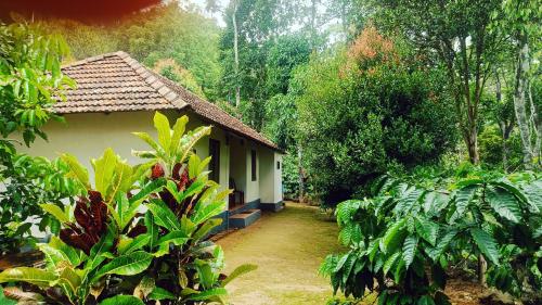 a small house in the middle of a forest at Verdant Vagamon Farm House in Vagamon