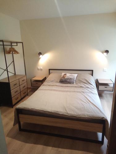 a bedroom with a bed with two night stands and a mirror at Gîte de la marmotte in Chevaline