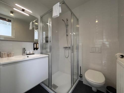 a bathroom with a shower and a toilet and a sink at Landgoed De Hoogmolen in Oudsbergen 