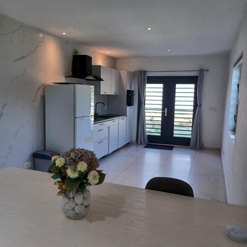 Flamingo Apartment - Regal Rentals Curacao