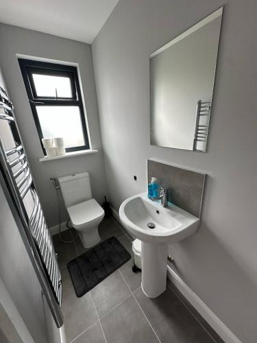 a bathroom with a sink and a toilet and a mirror at Brand New Studio Flat 36 in Dublin
