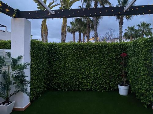 a green hedge with plants and palm trees at Condado de Alhama Jardin 11 SV51 in Alhama de Murcia