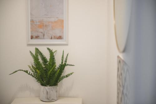 a plant in a vase sitting on a table at Modern 3 Bedroom Home in Central Rugby in Rugby